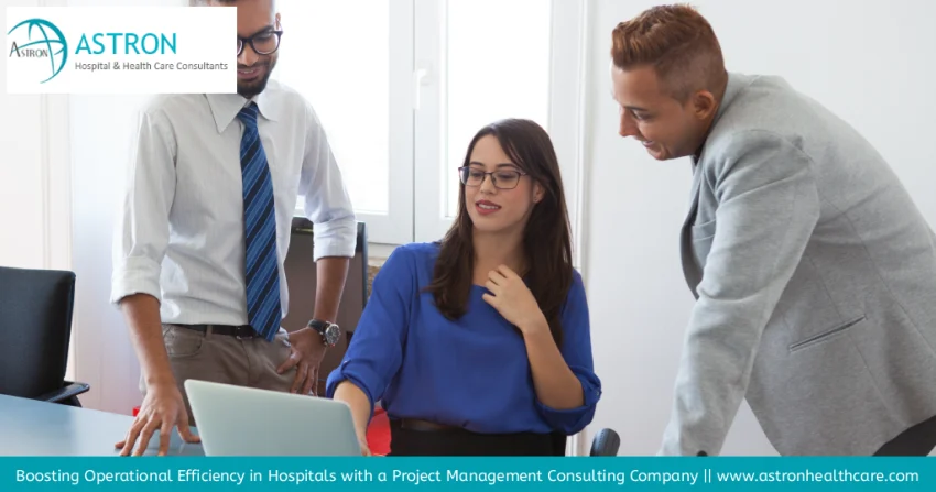 Project Management Consulting Company