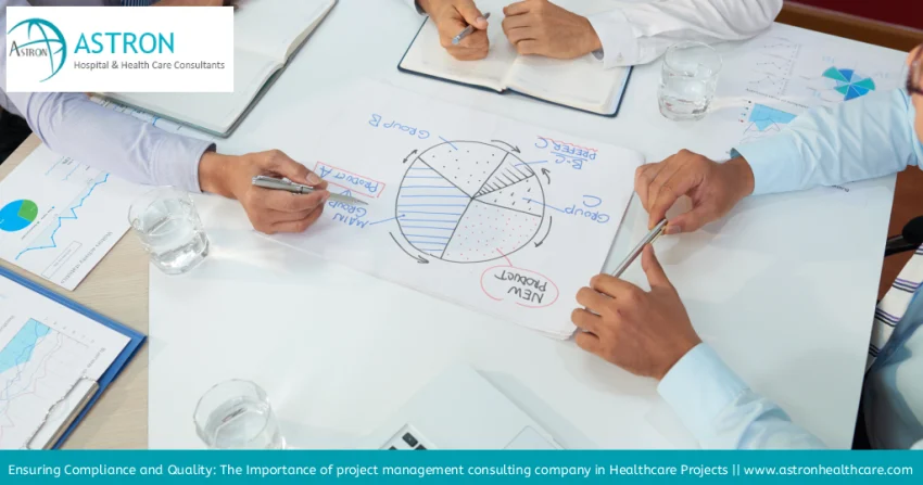 Project Management Consulting Company