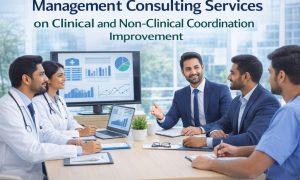 Management Consulting Services
